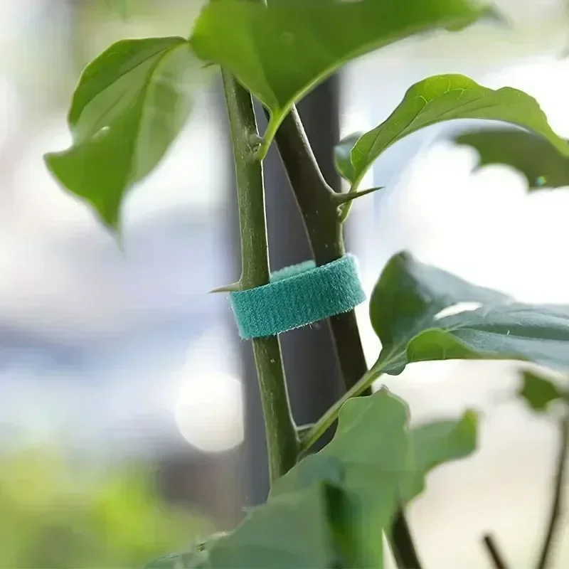 1/100m ajustável auto adesivo  - Gear Tie Reusable avaliação e preço